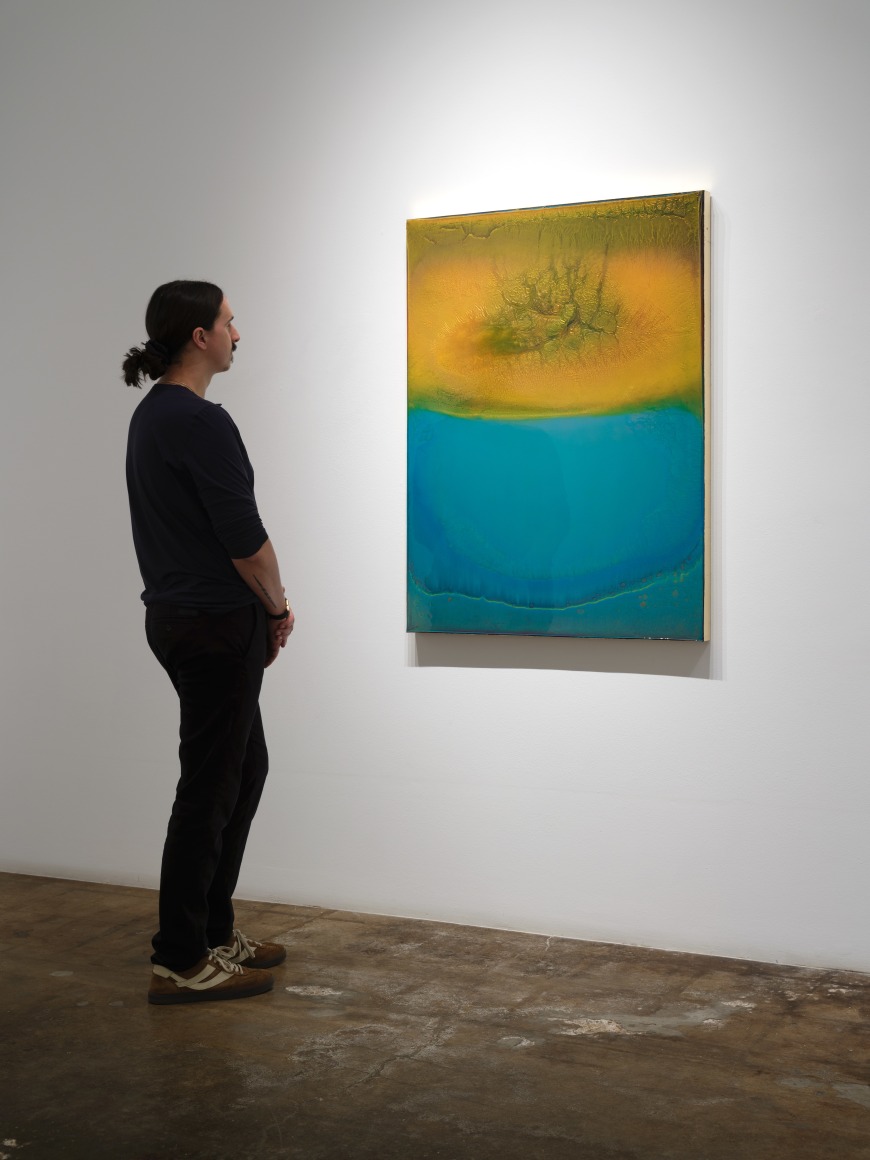 Terry Suprean, The Fatale Softness in the Earth