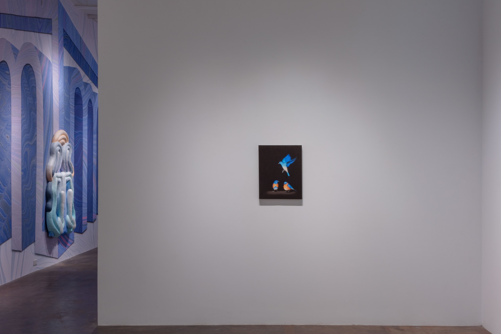 Isabelle du Toit | Diversity, April 11 - June 13, 2020