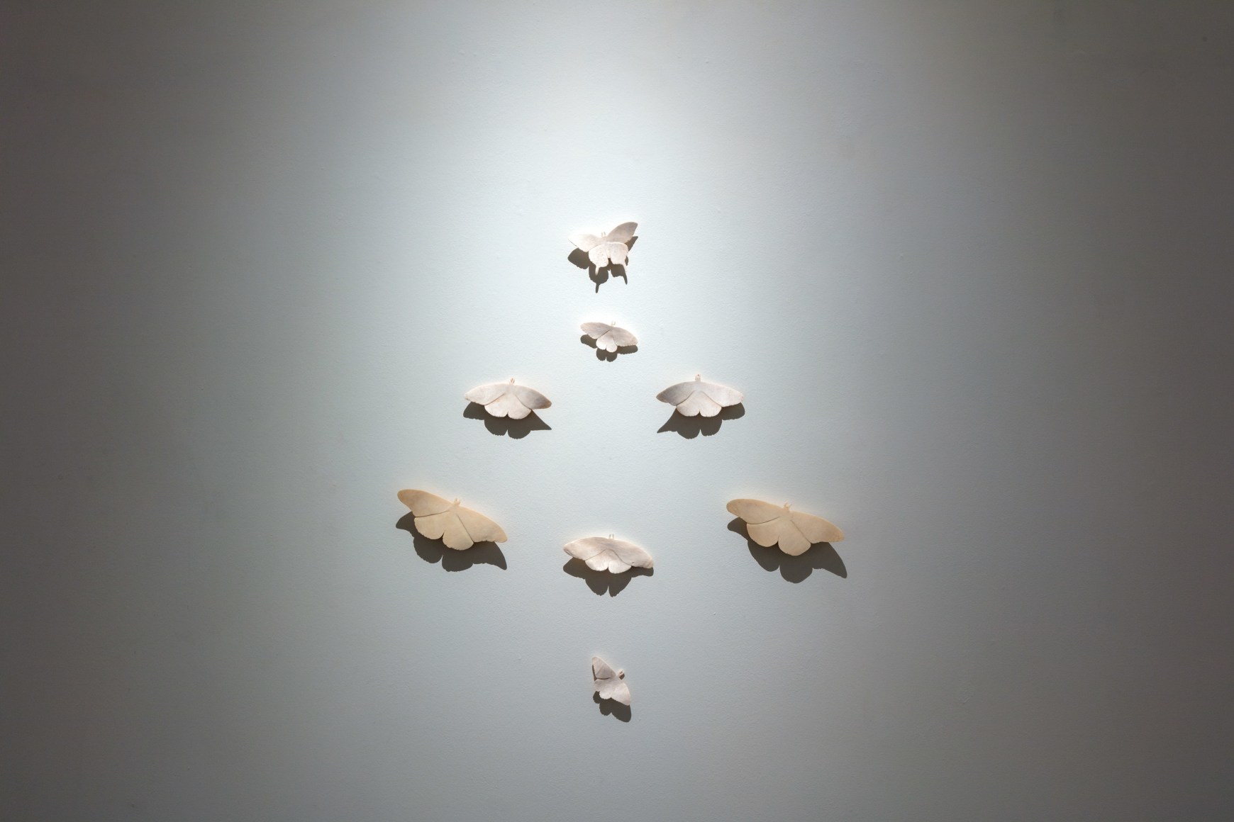 Celia Eberle: Unintended Garden February 24 &ndash; March 31, 2018