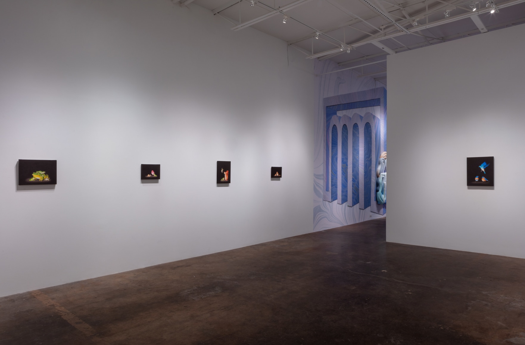 Isabelle du Toit | Diversity, April 11 - June 13, 2020