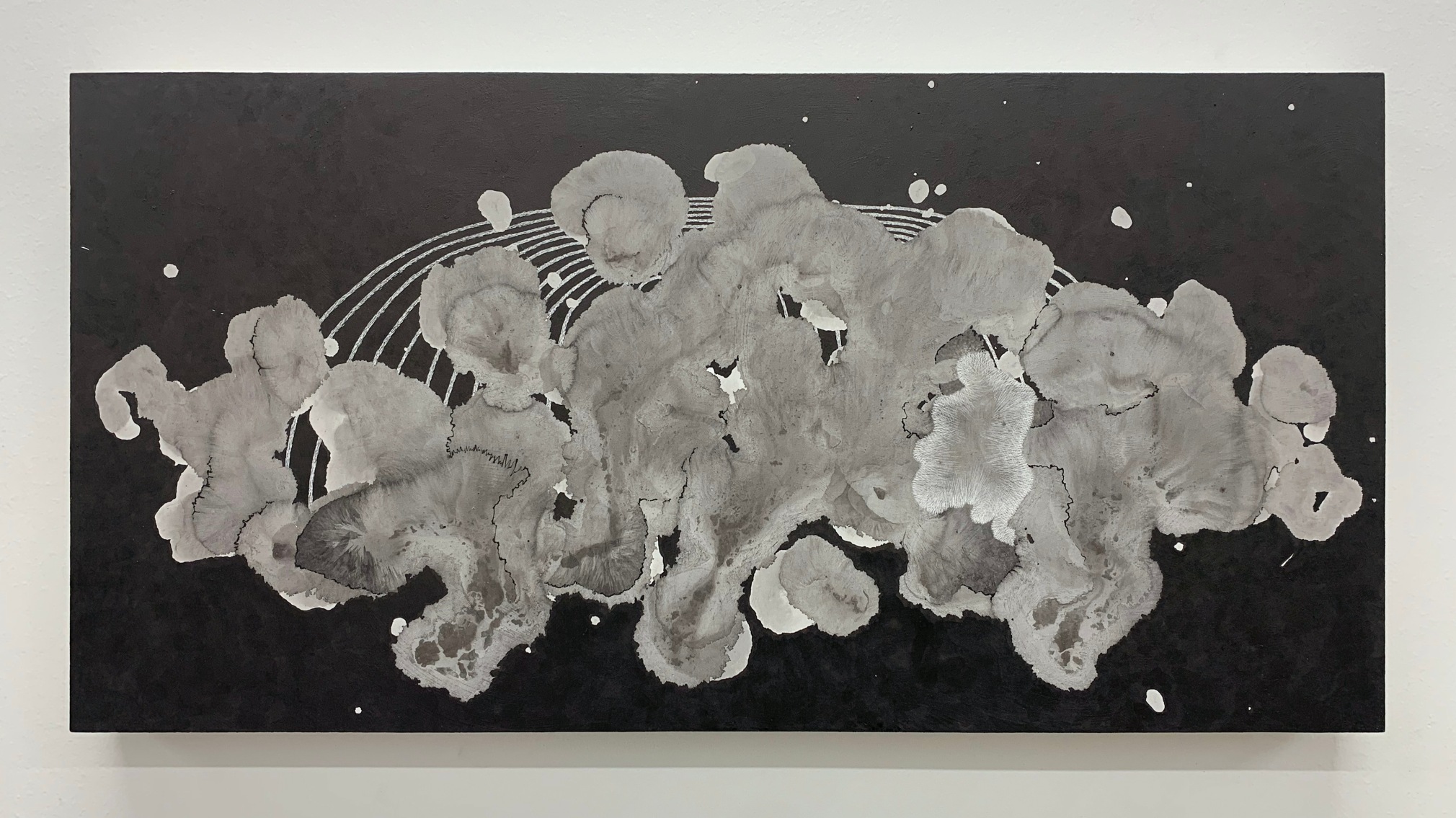 Nishiki Sugawara-Beda, KuroKuroShiro DXI, 2024