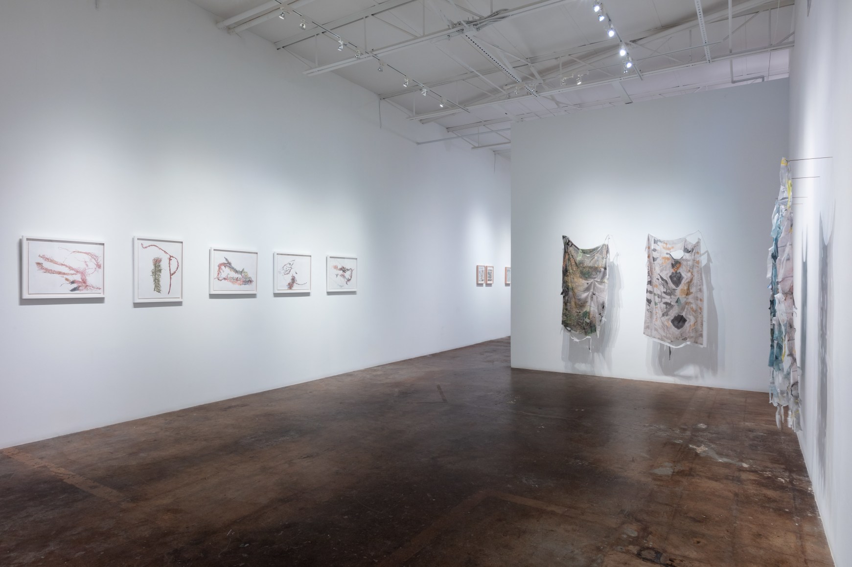 Anne Allen | Animal, Vegetable, Mineral, June 22 - August 17, 2024