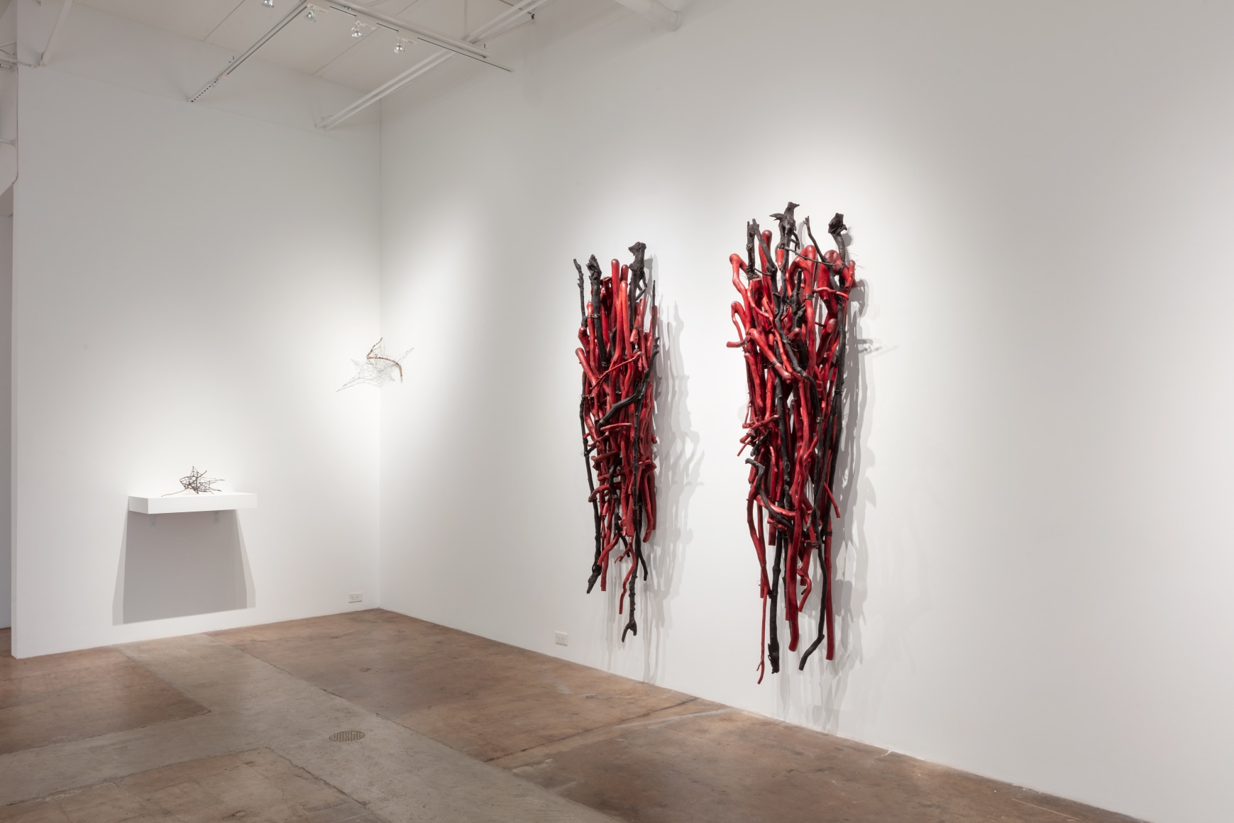 Sherry Owens: Tied to This World