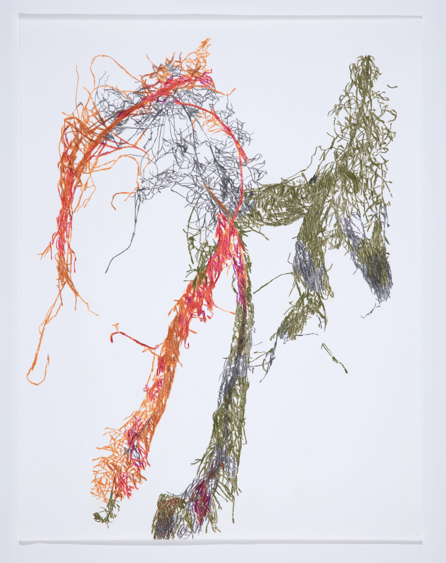 Anne Allen, Myriophyllum VII, 2024