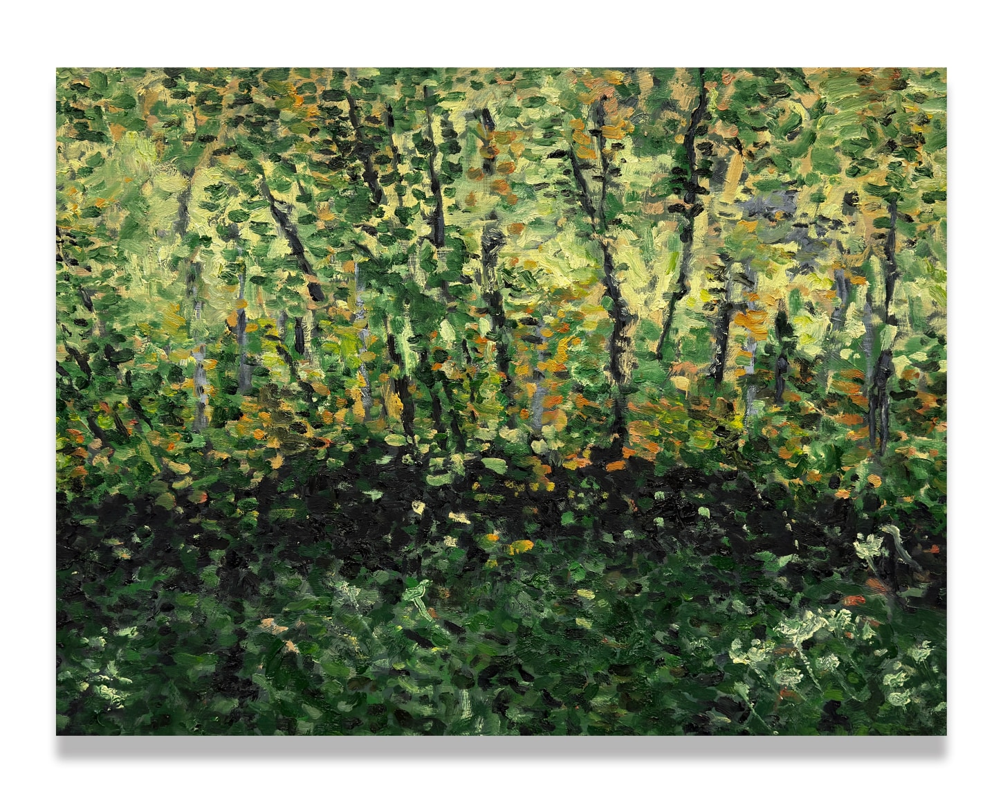 Paul Manes, Luminous Ridge, 2025