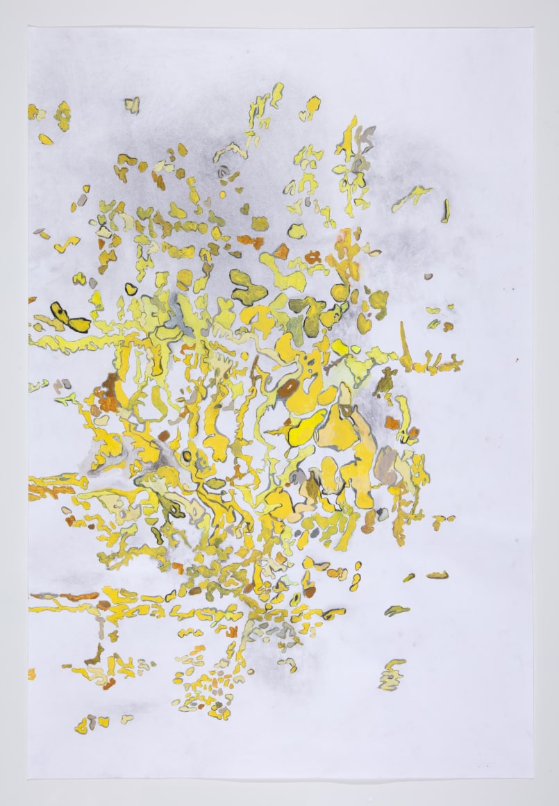 Anne Allen, Myriophyllum VIII, 2024