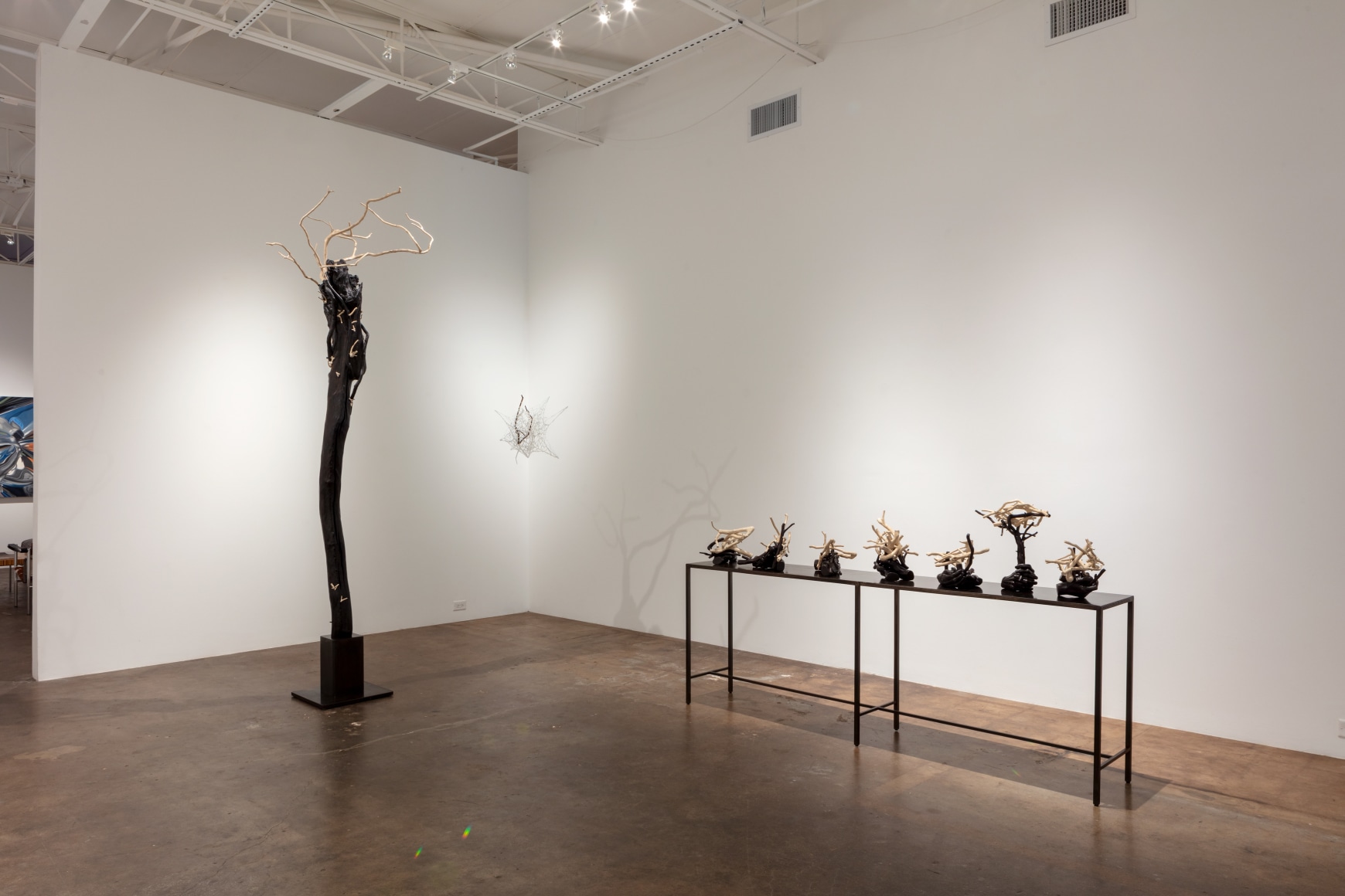 Sherry Owens: Tied to This World