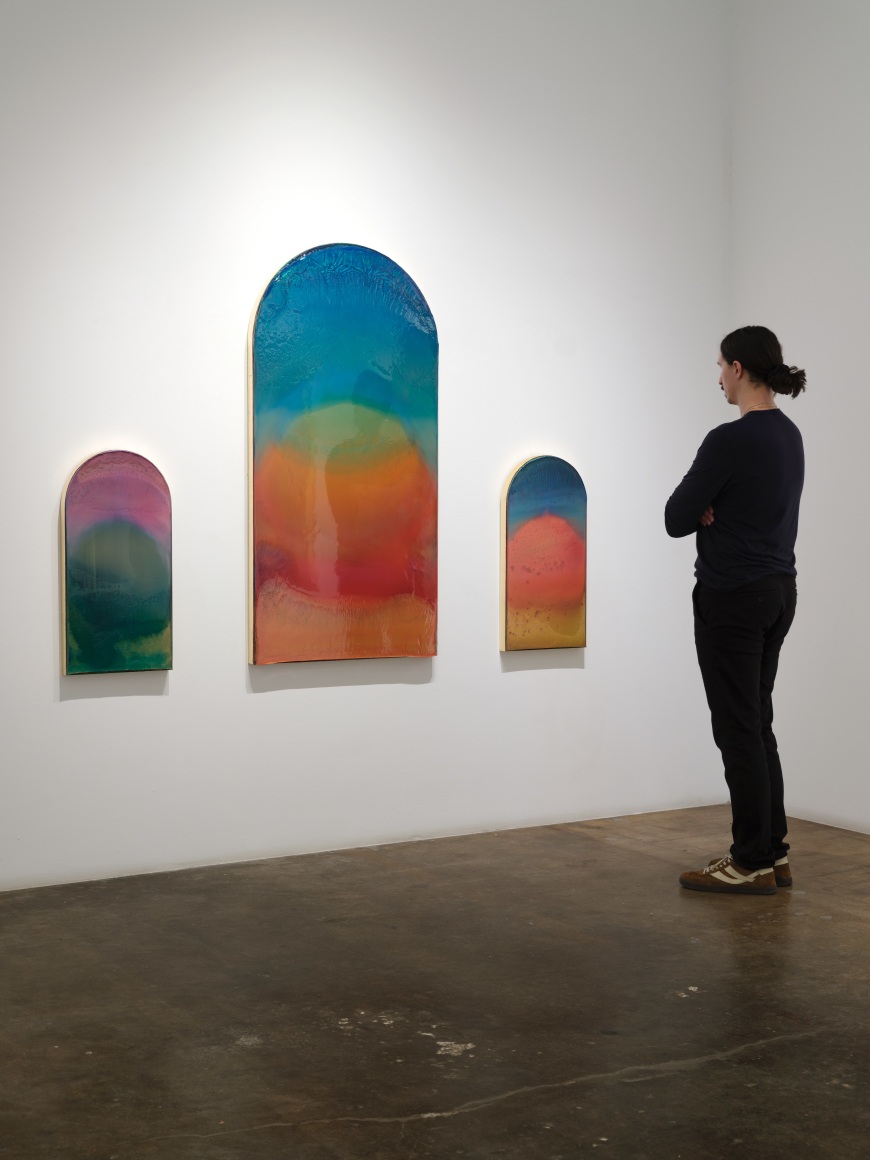 Terry Suprean, The Fatale Softness in the Earth