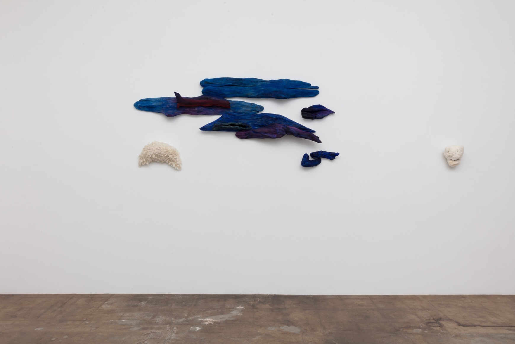 Celia Eberle |&nbsp;The Reanimation Project