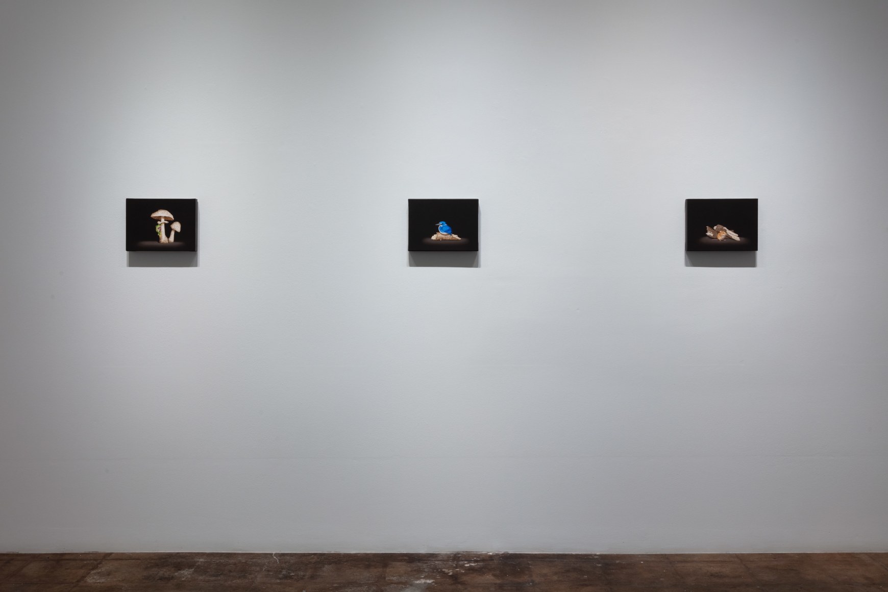 Isabelle du Toit |&nbsp;Refuge, November 18 - December 30, 2023