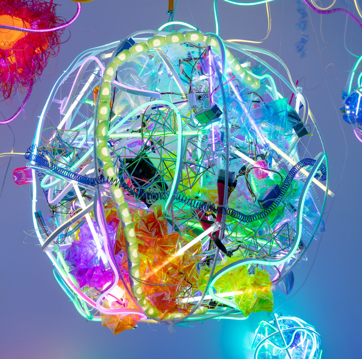 Adela Andea, Eukaryotic Cell 2, 2018