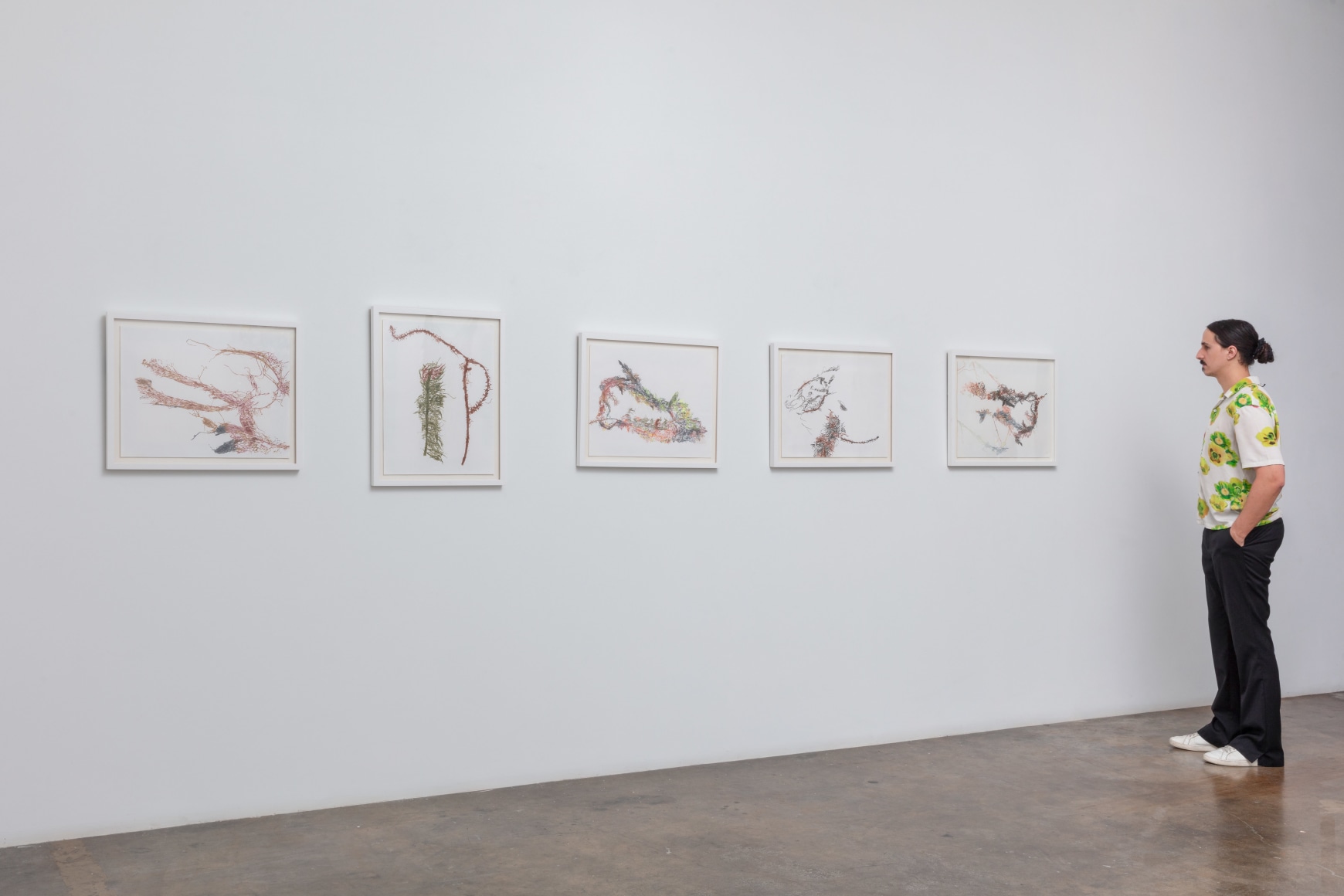 Anne Allen | Animal, Vegetable, Mineral, June 22 - August 17, 2024