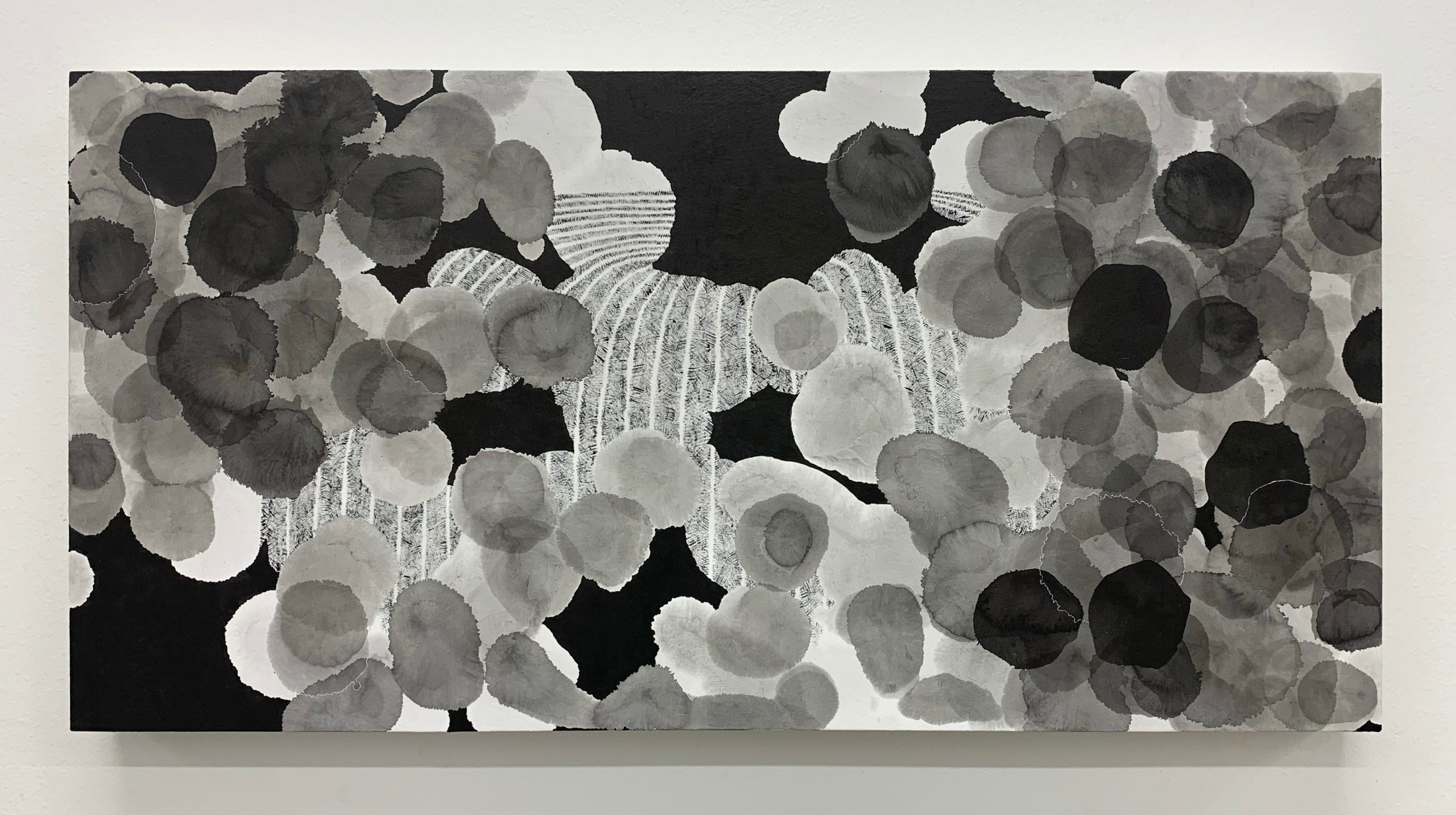 Nishiki Sugawara-Beda, KuroKuroShiro DXII, 2024