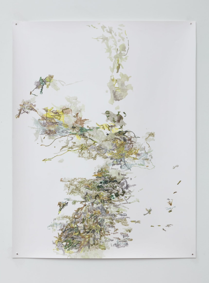 Anne Allen La Digue #4, Beach Salad, 2018