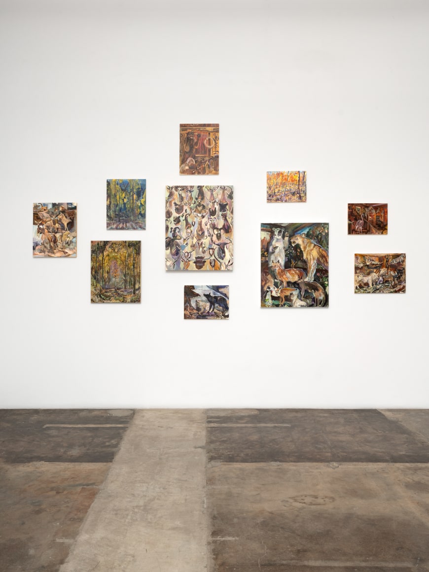 Johnny DeFeo, Wild America, October 19 - November 30, 2024