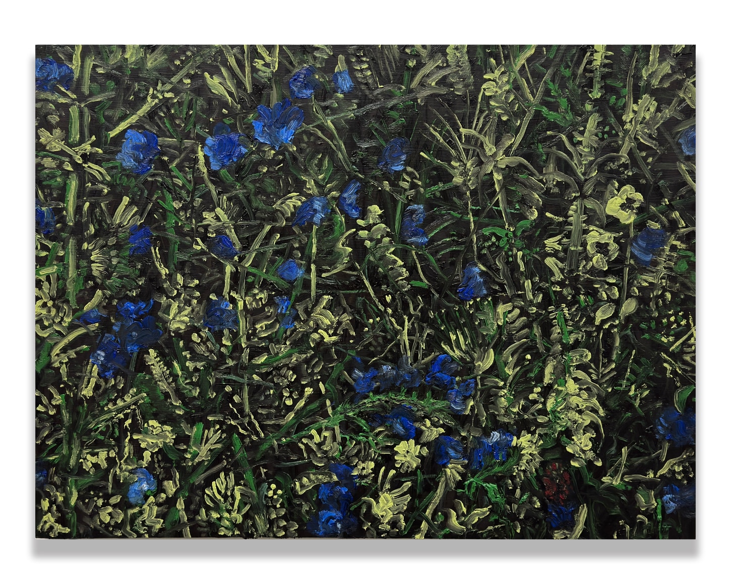 Paul Manes, Blue Flowers, 2025