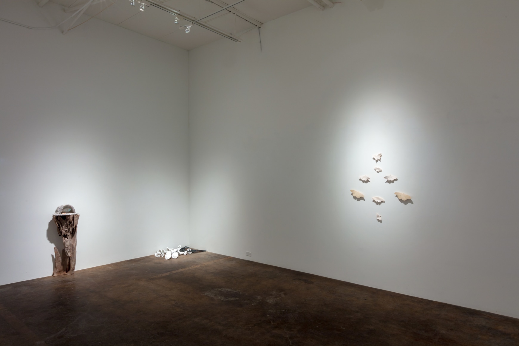 Celia Eberle: Unintended Garden February 24 &ndash; March 31, 2018