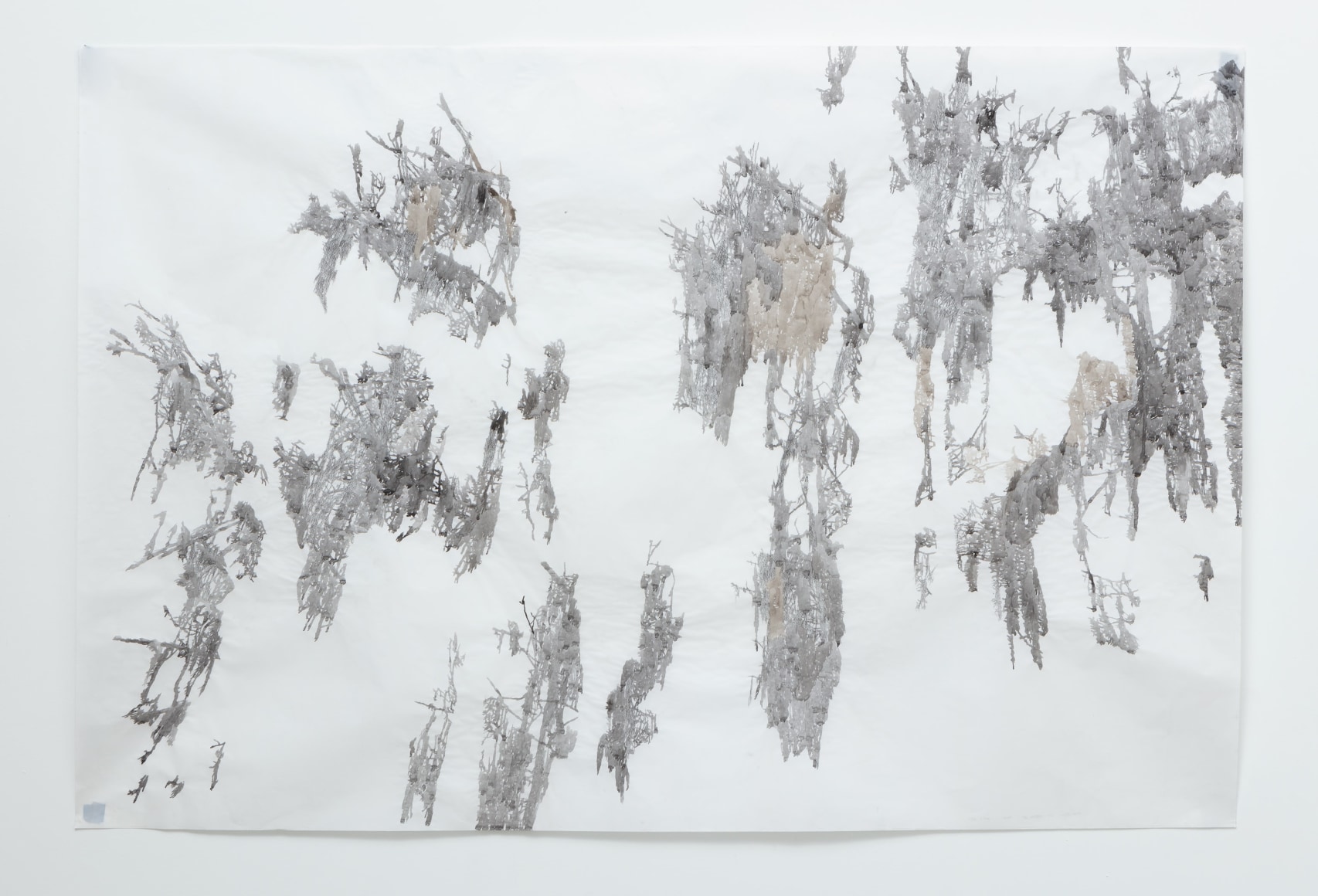 Anne Allen, Big Cypress III, Caddo, 2014