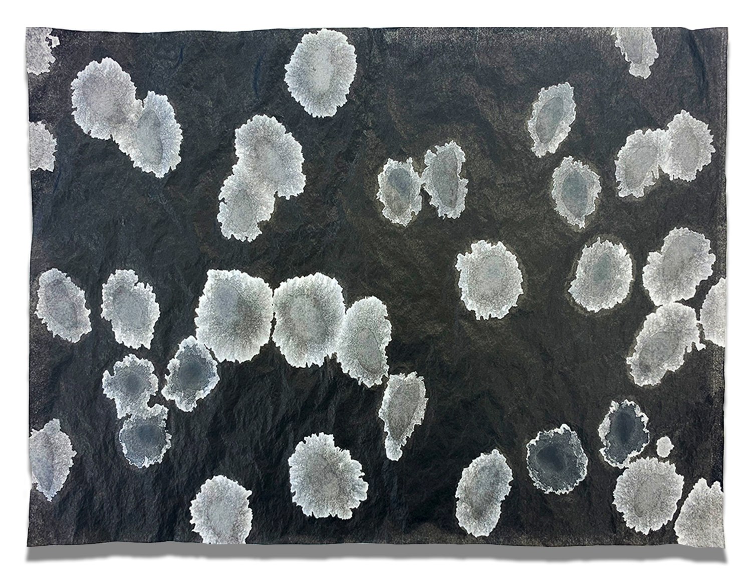 Cris-Worley-Fine-Arts-Gallery-Dallas-Texas-Nishiki-Sugawara-Beda