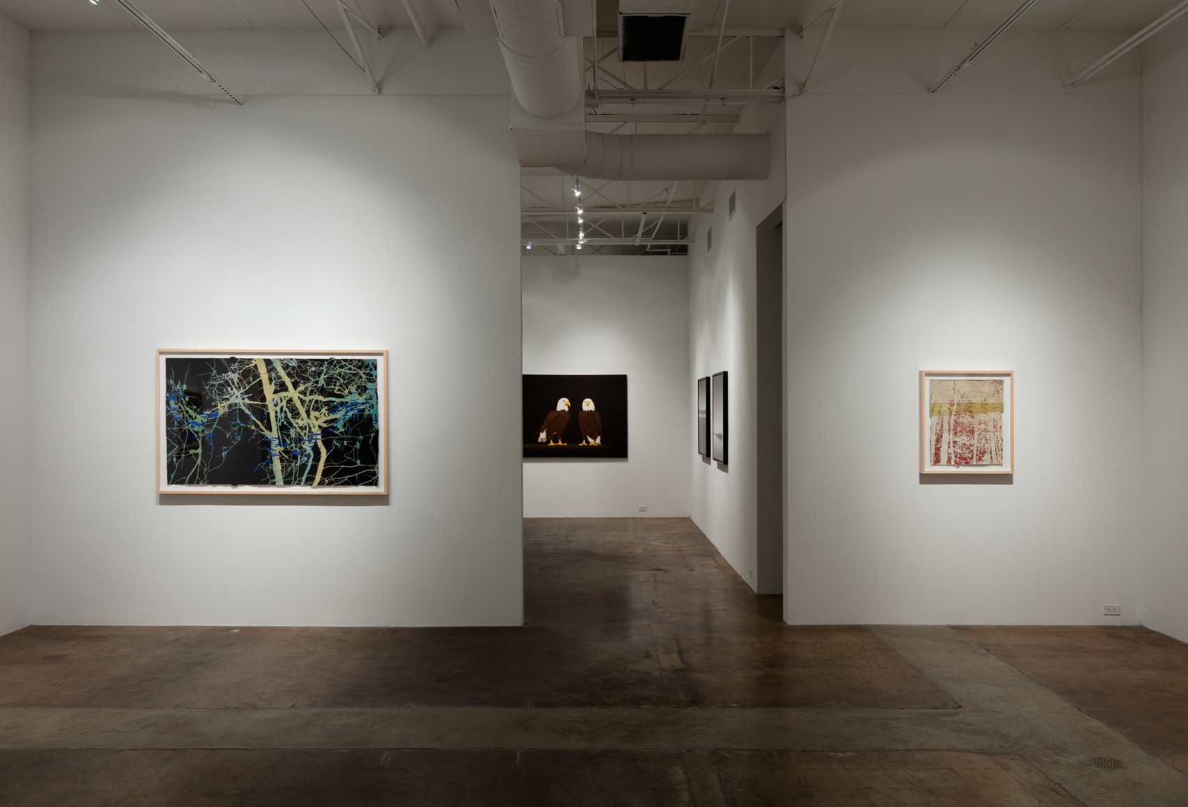 Maysey Craddock |&nbsp;Lost Bay, May 14 - June 18, 2016