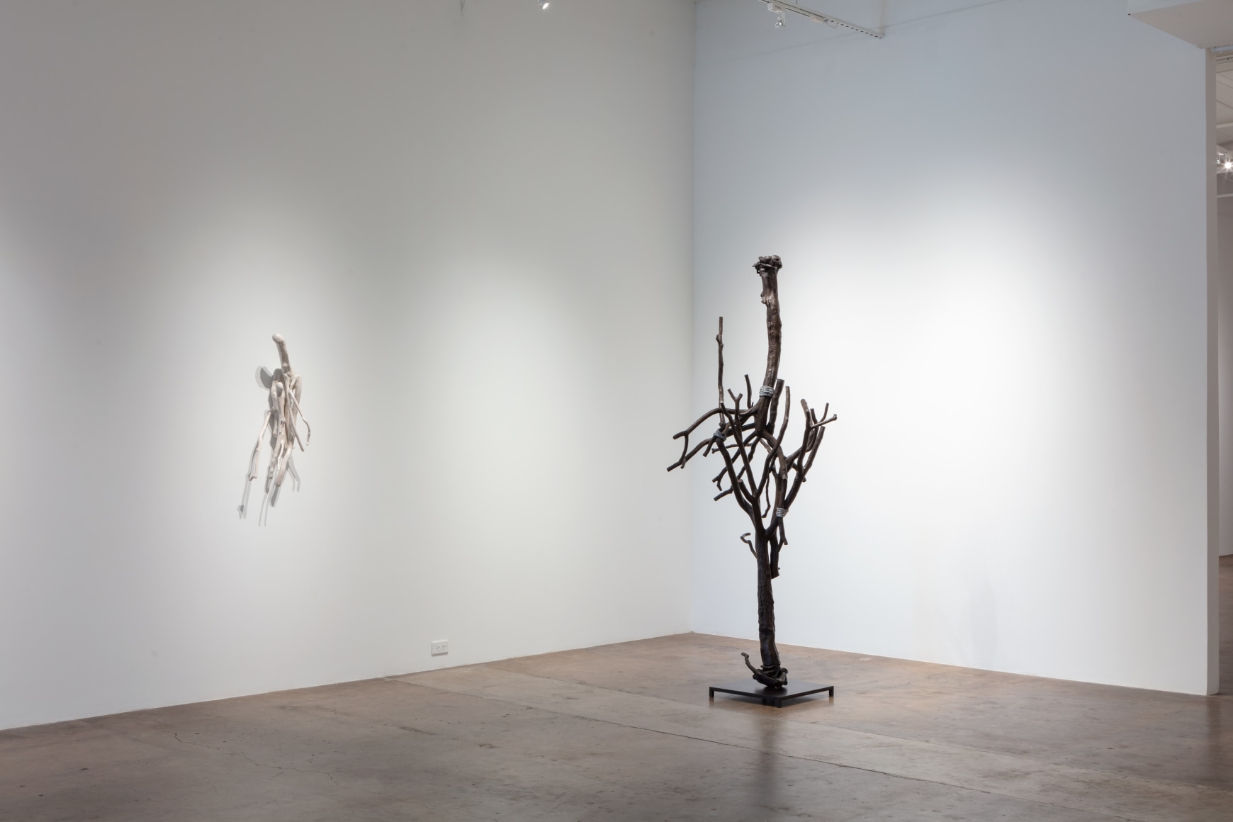 Sherry Owens: Tied to This World