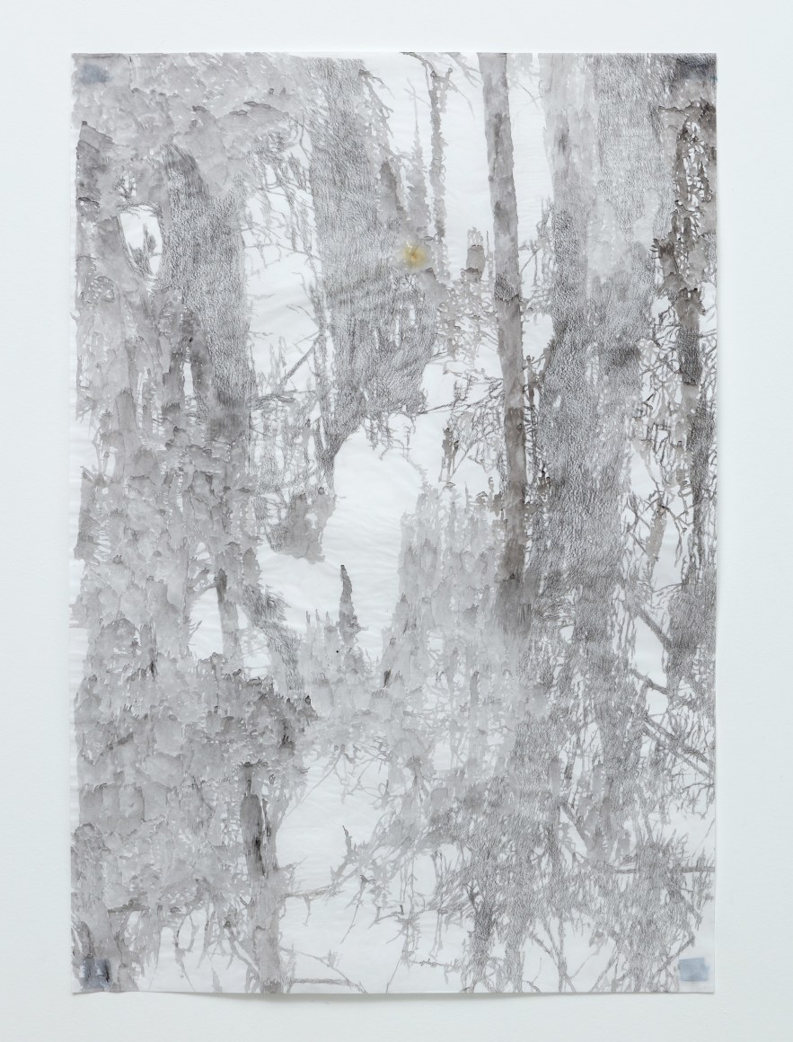 Anne Allen, Big Cypress IB, 2013