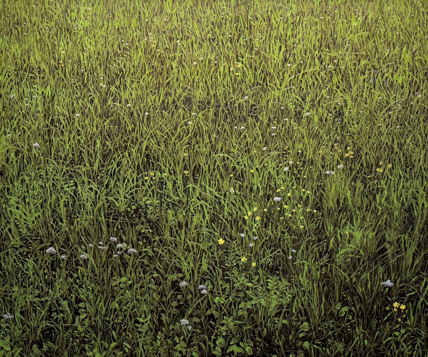 Paul Manes, Title Forthcoming, 2025