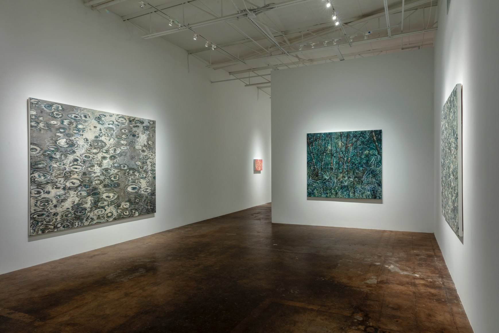 Paul Manes:&nbsp;Recent Paintings