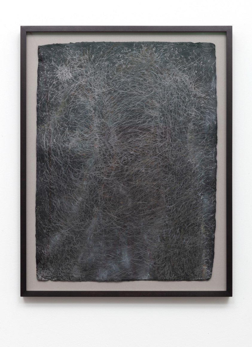 Sherry Owens, Strength of the Tree, 2022