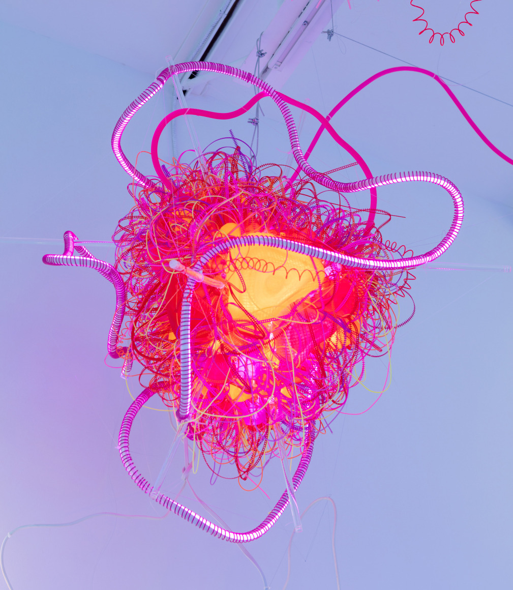 Cris-Worley-Fine-Arts-Gallery-Dallas-Texas-Adela-Andea