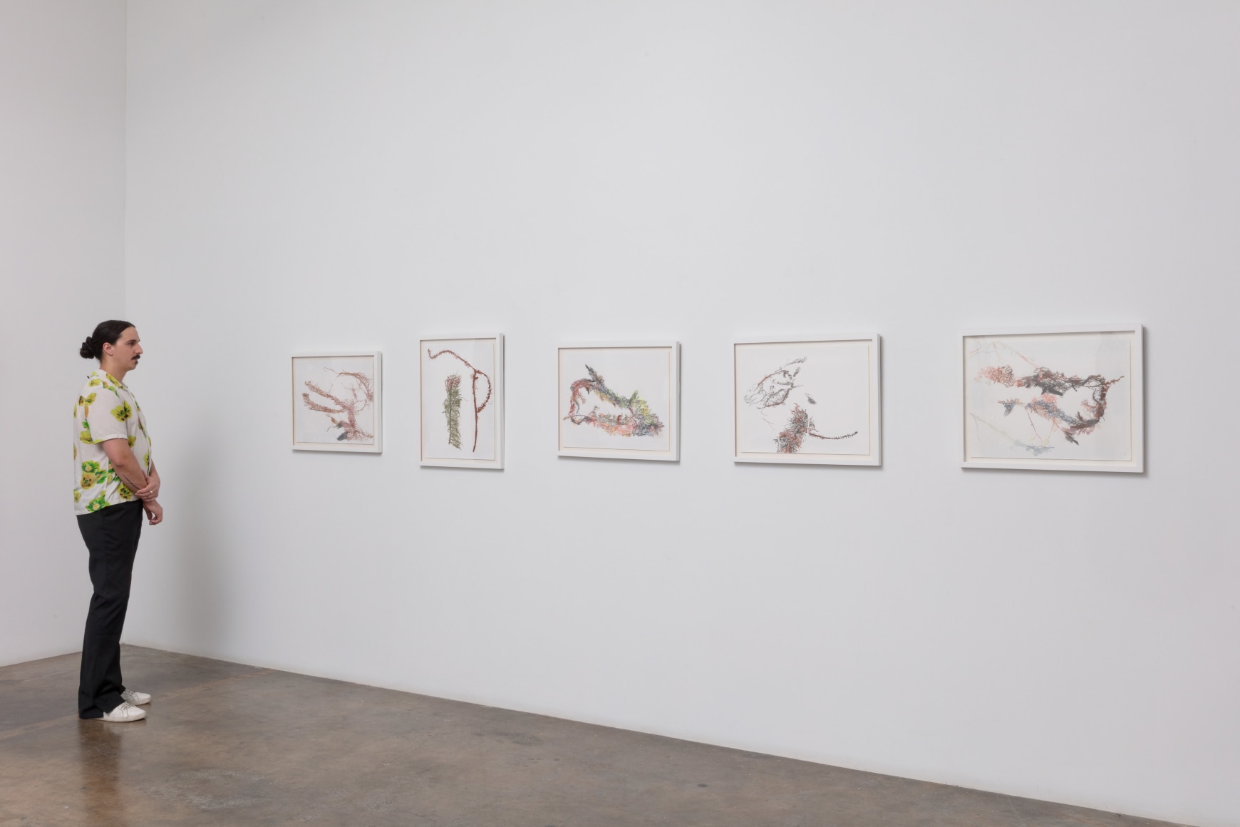 Anne Allen | Animal, Vegetable, Mineral, June 22 - August 17, 2024