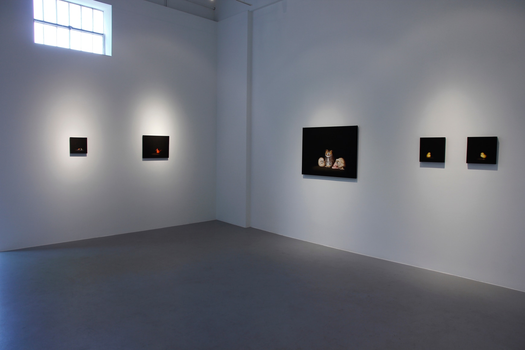 Isabelle du Toit | New Paintings, April 6 - May 11, 2013
