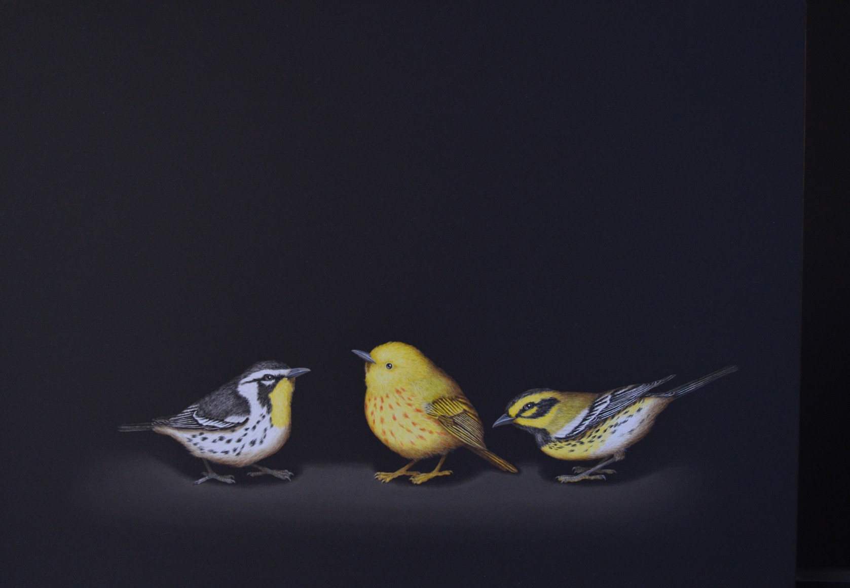 Cris-Worley-Fine-Arts-Gallery-Dallas-Texas-Isabelle-du-Toit