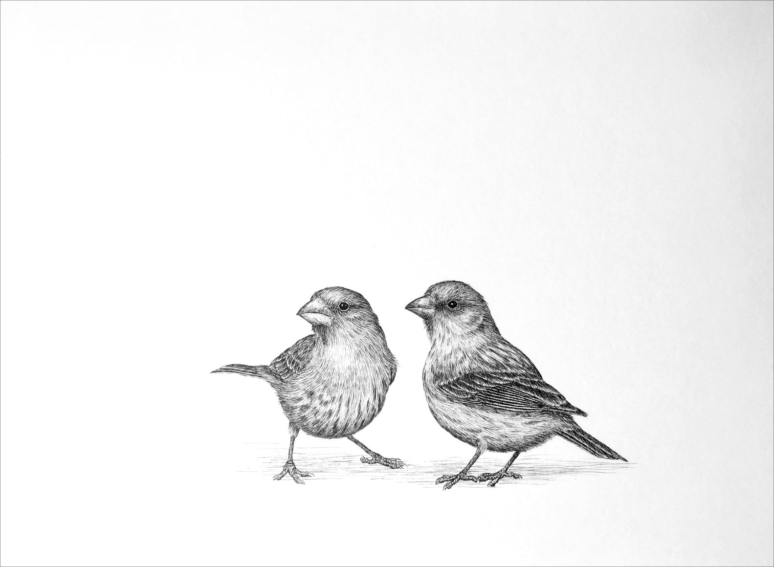 Cris-Worley-Fine-Arts-Gallery-Dallas-Texas-Isabelle-du-Toit