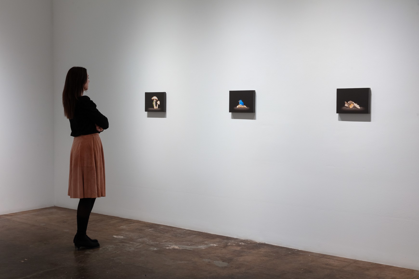 Isabelle du Toit | Refuge, November 18 - December 30, 2023