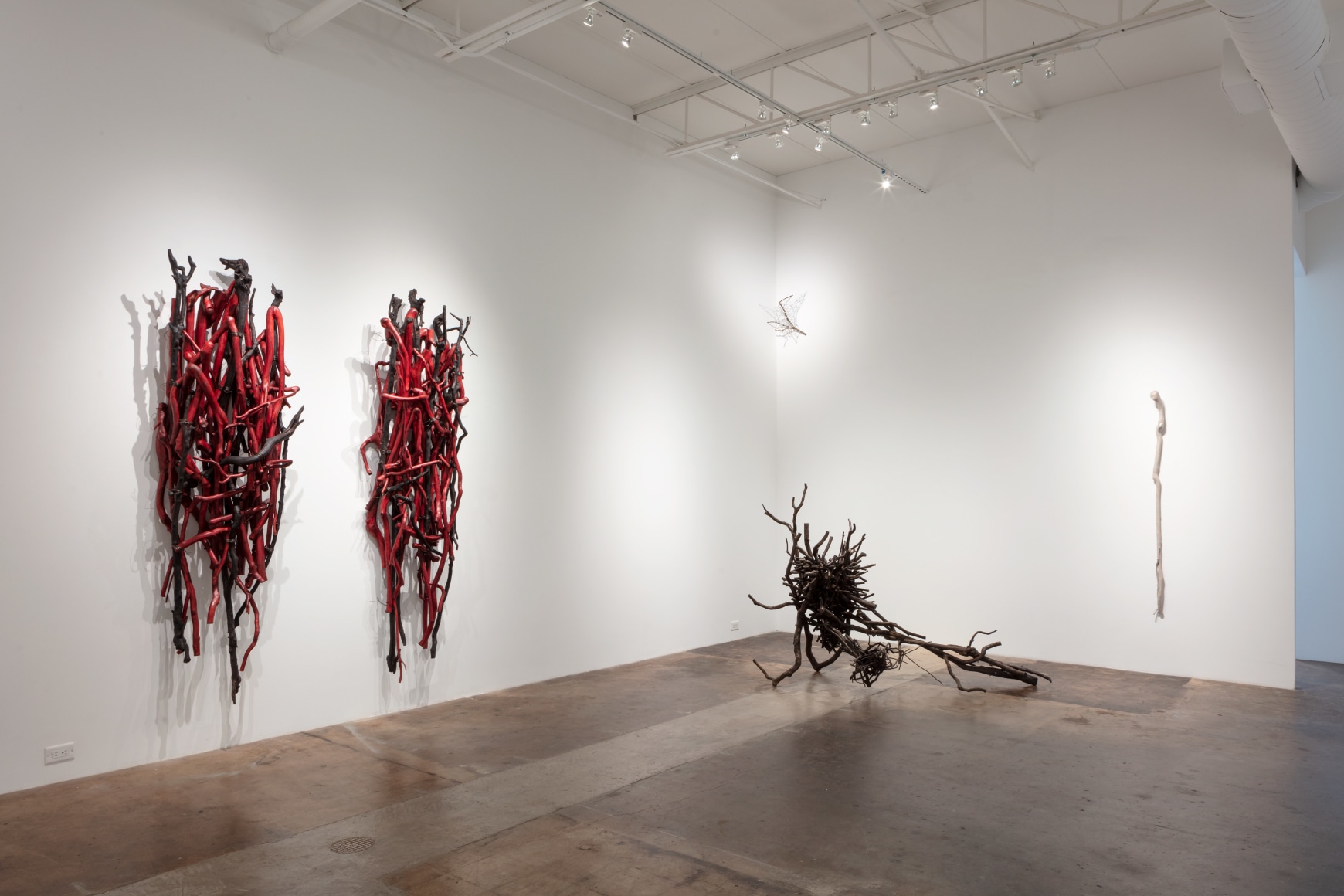 Sherry Owens: Tied to This World