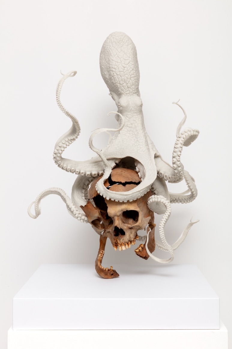 Erick Swenson, S&eacute;ance, 2019-2023