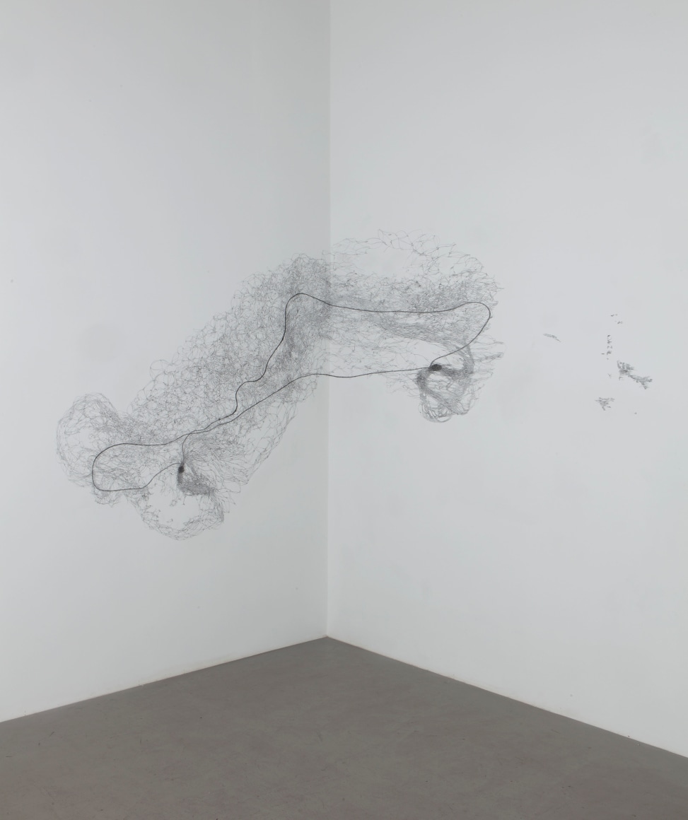 Anne Allen, Hairnet, 2014