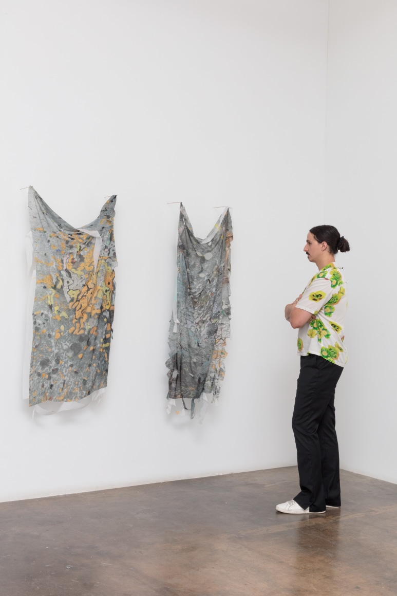 Anne Allen | Animal, Vegetable, Mineral, June 22 - August 17, 2024