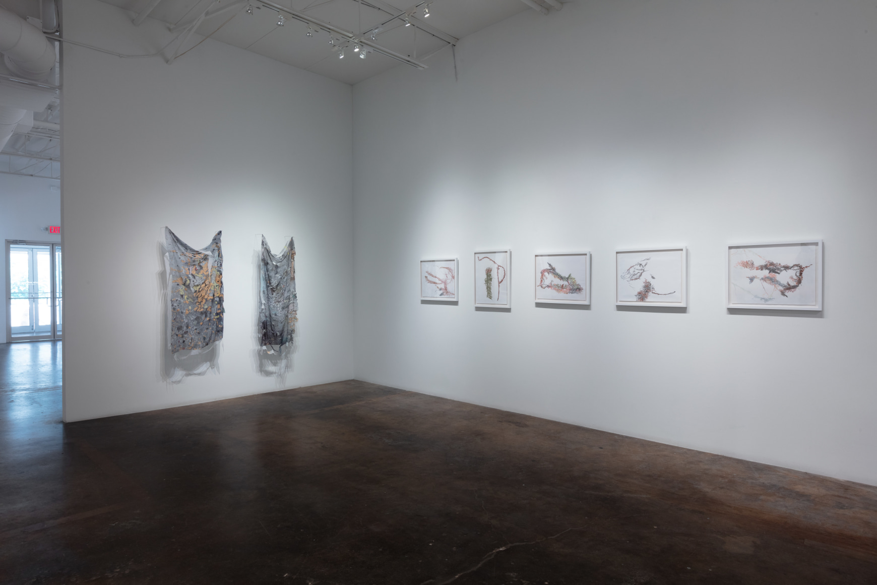 Anne Allen | Animal, Vegetable, Mineral, June 22 - August 17, 2024