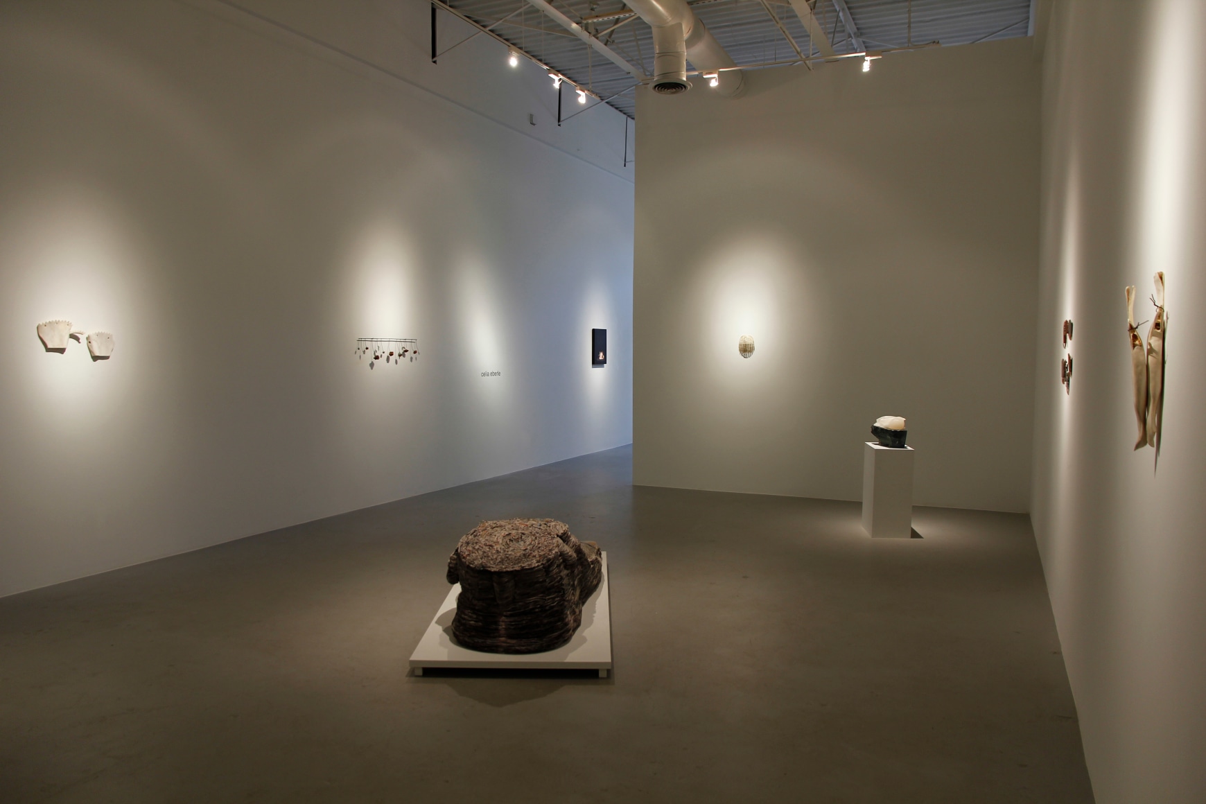 Celia Eberle | motherf, April 6 - May 11, 2013