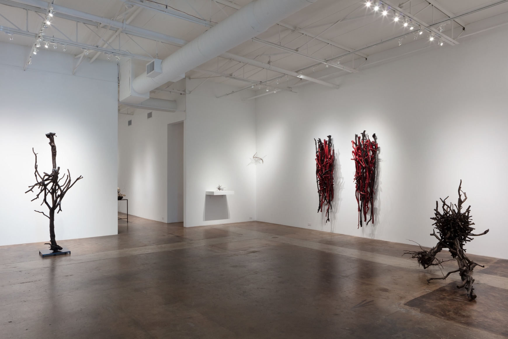 Sherry Owens: Tied to This World