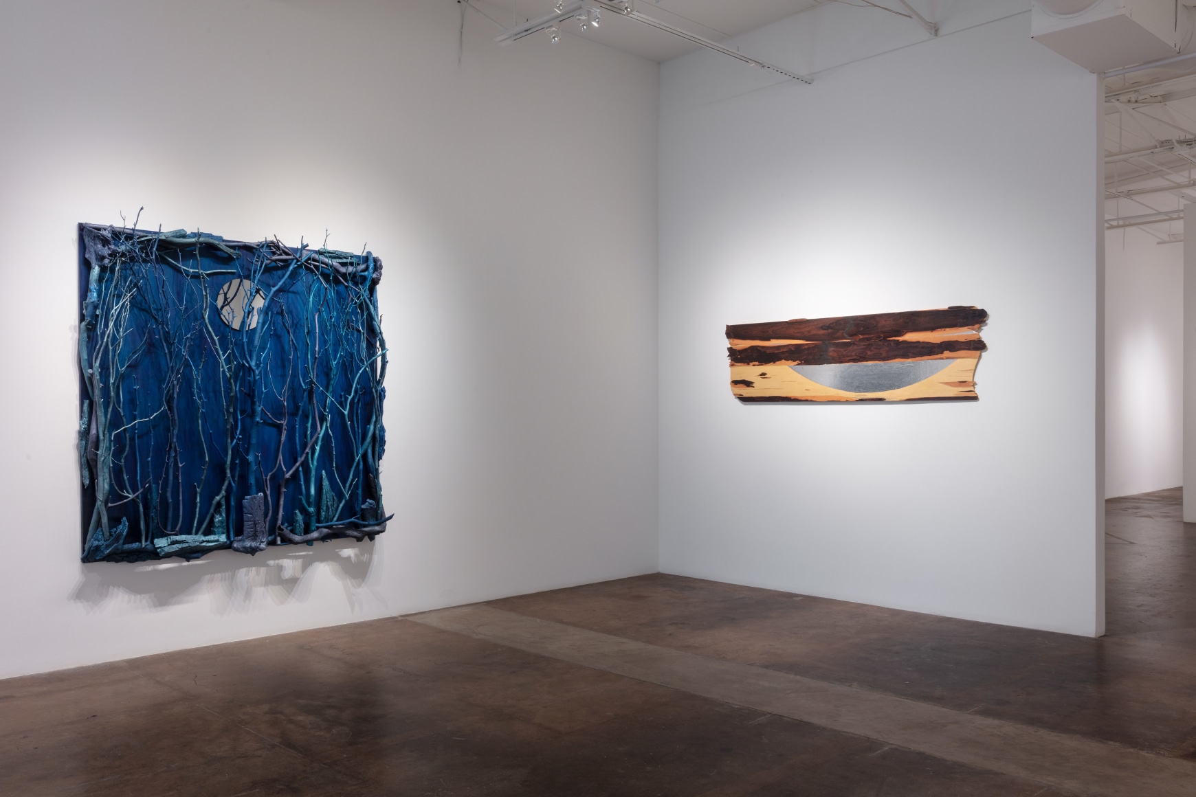 Celia Eberle | The Flesh of Trees, April 1 - May 5, 2023