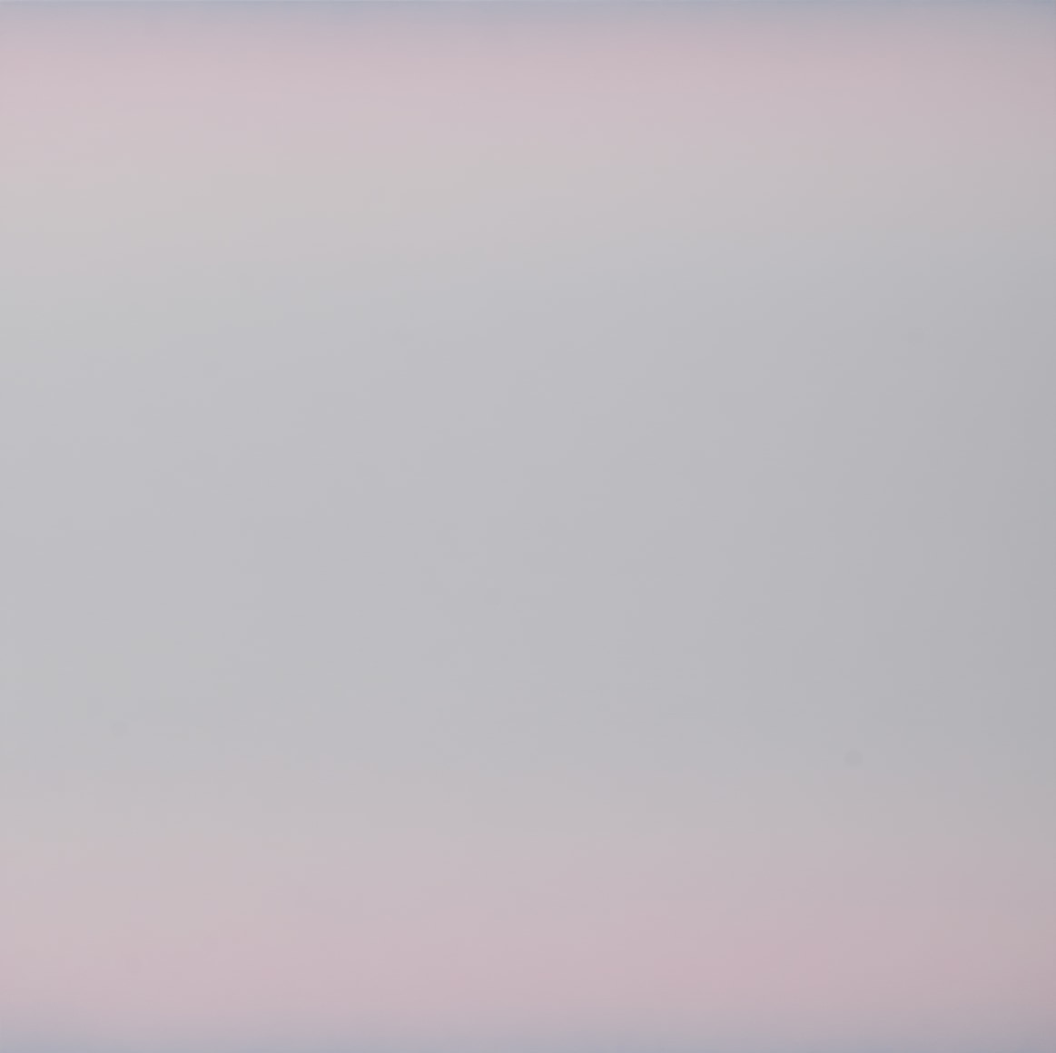 Kristen Cliburn, Of the Pelican I, 2022