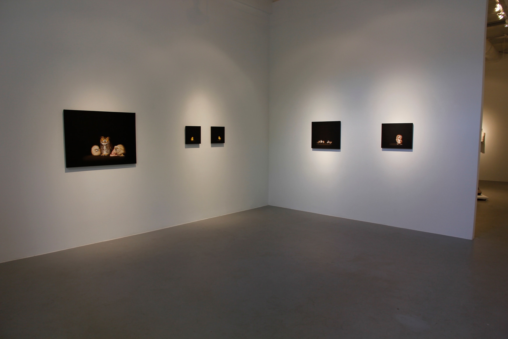 Isabelle du Toit | New Paintings, April 6 - May 11, 2013