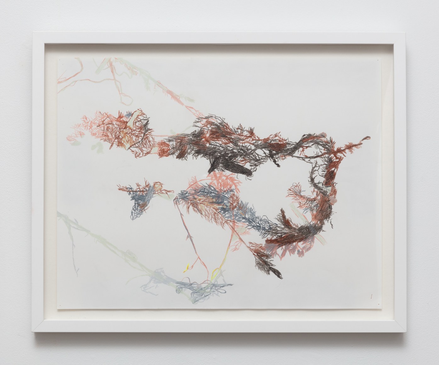 Anne Allen, Myriophyllum V, 2024