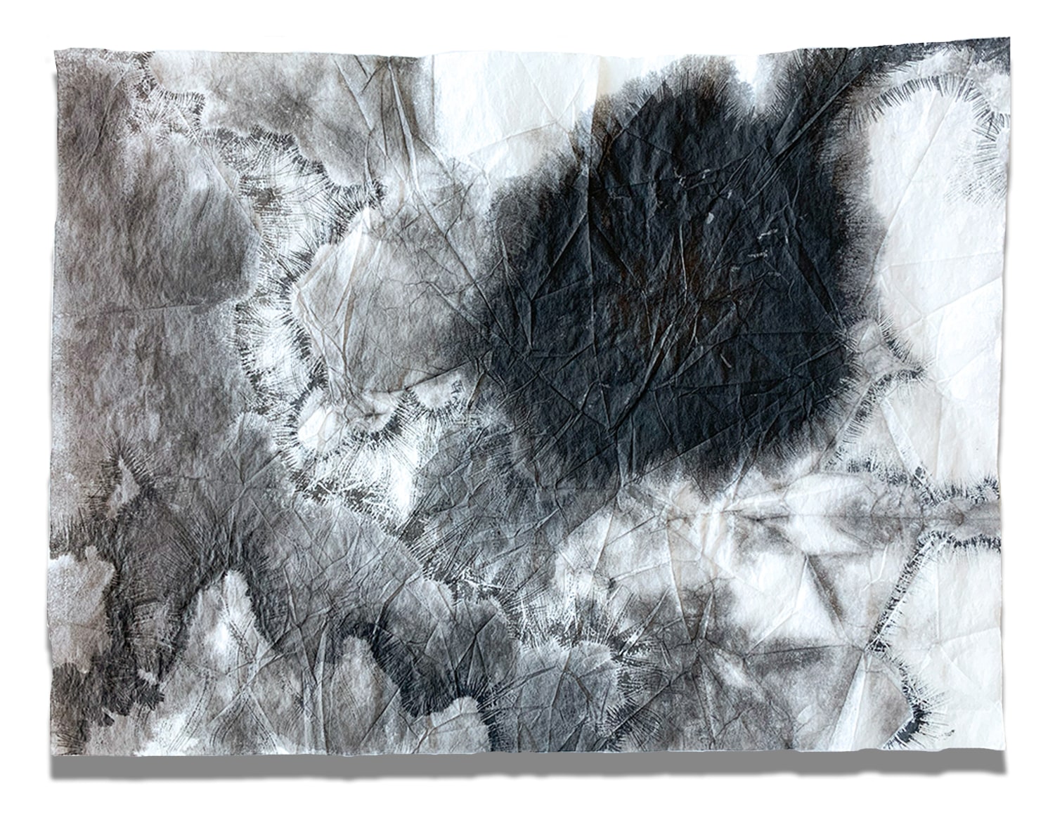 Cris-Worley-Fine-Arts-Gallery-Dallas-Texas-Nishiki-Sugawara-Beda