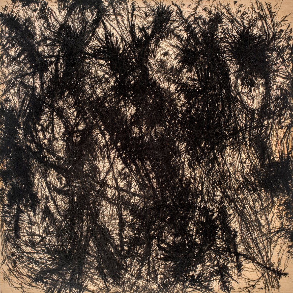 Sherry Owens, Beneath the Frost 4, 2017