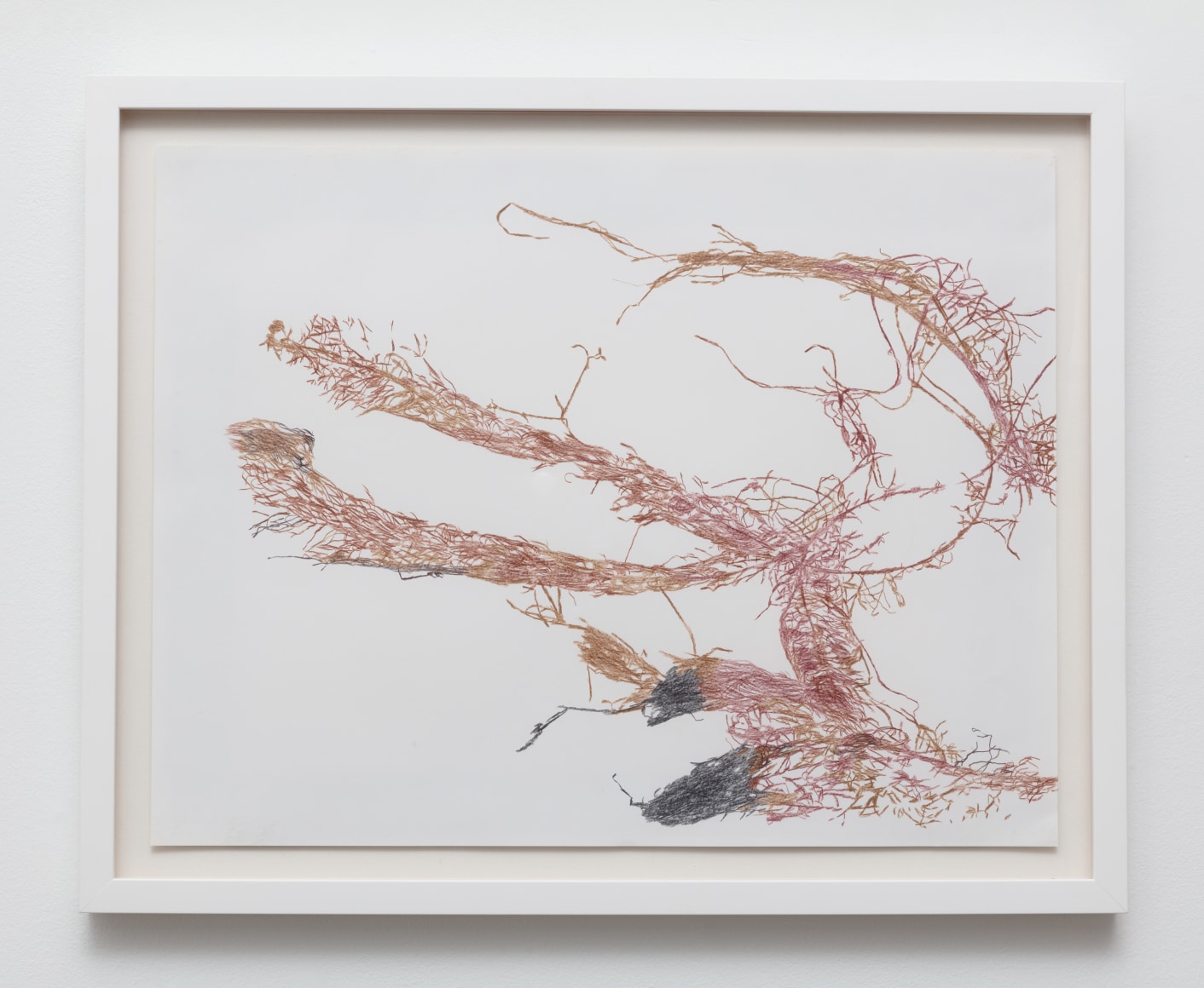 Anne Allen, Myriophyllum I, 2024