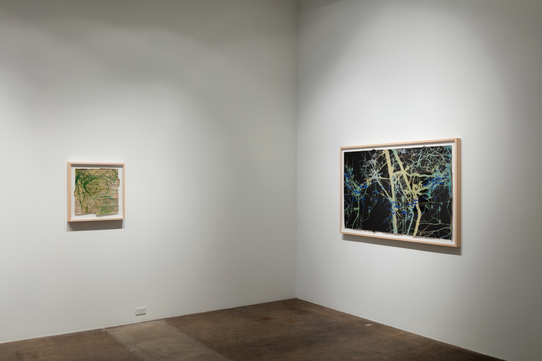 Maysey Craddock | Lost Bay, May 14 - June 18, 2016